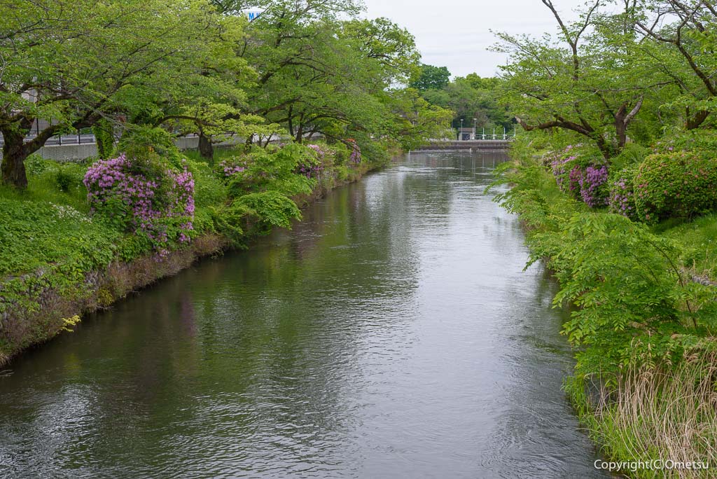 羽村市・羽村の堰付近の、玉川上水