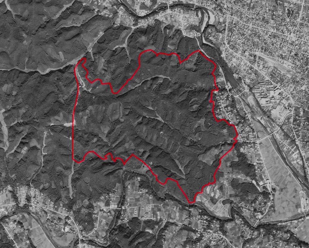 飯能市・美杉台、1969年の空中写真