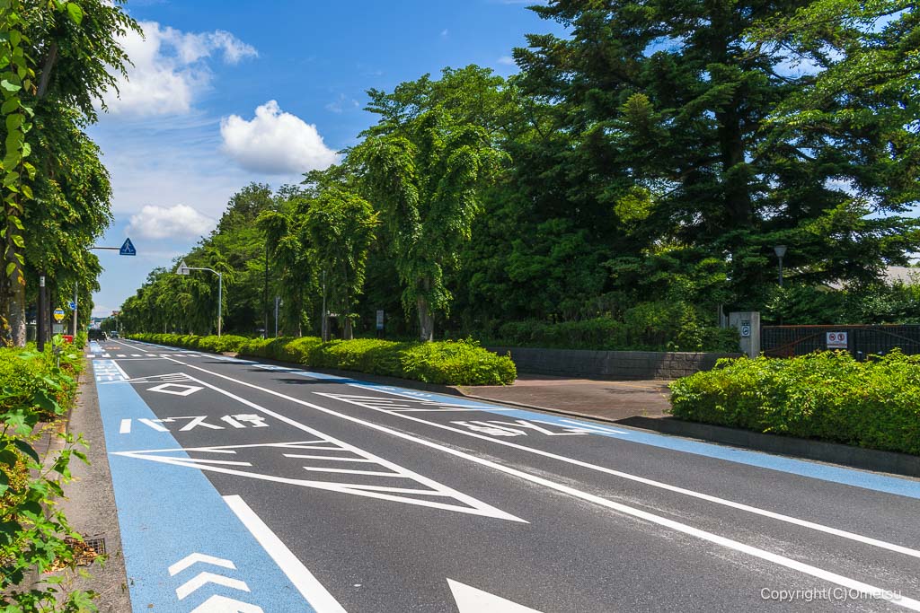 小作駅近くの都道181号線