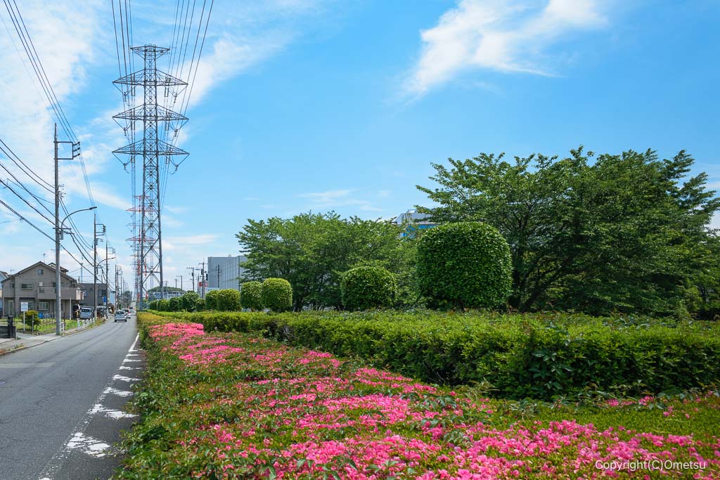 青梅市・送電線通り
