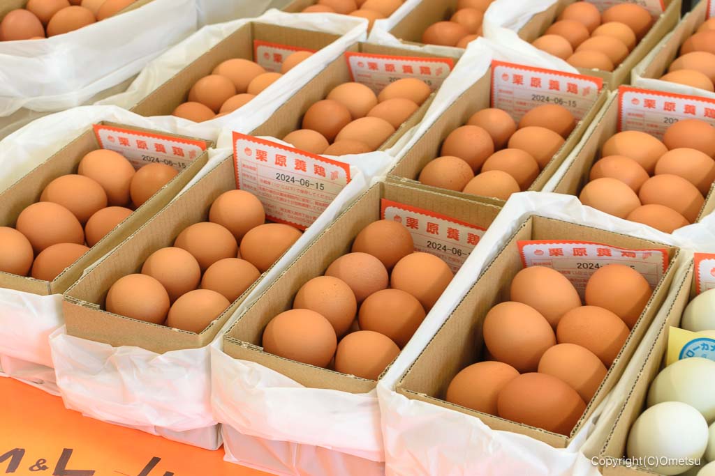 入間市・栗原養鶏の卵