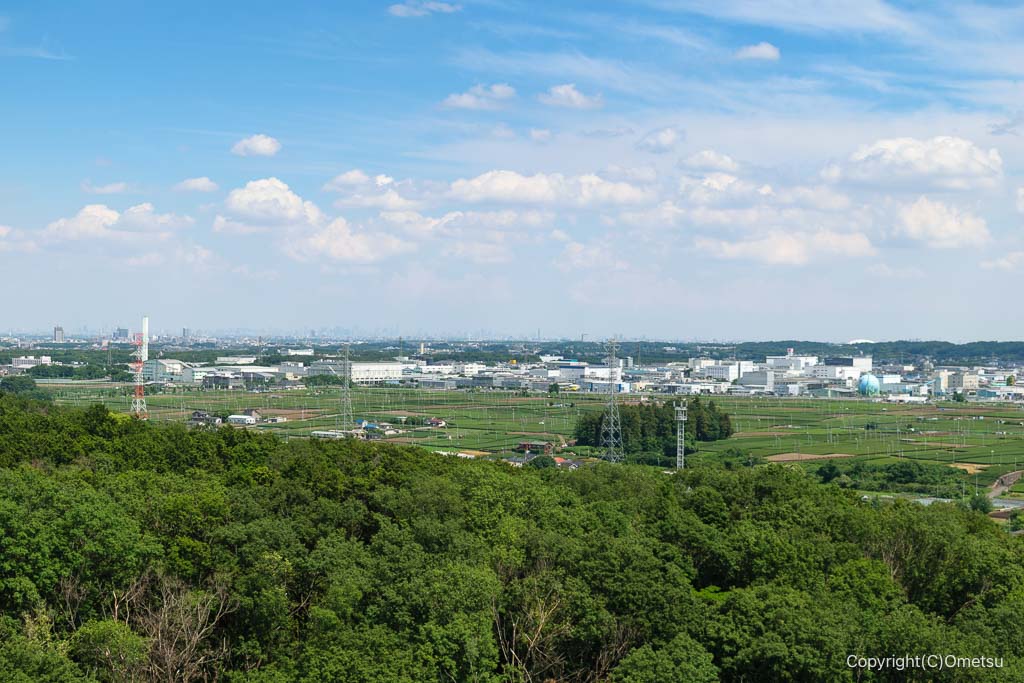 入間市・桜山展望台から、茶畑