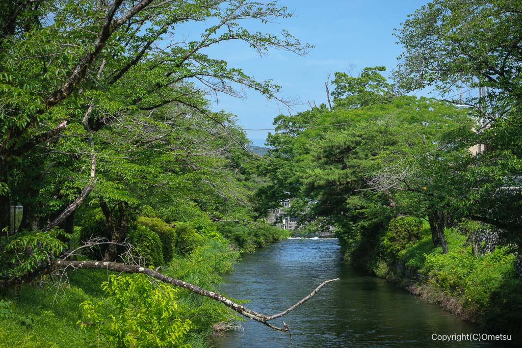 羽村の堰・玉川上水