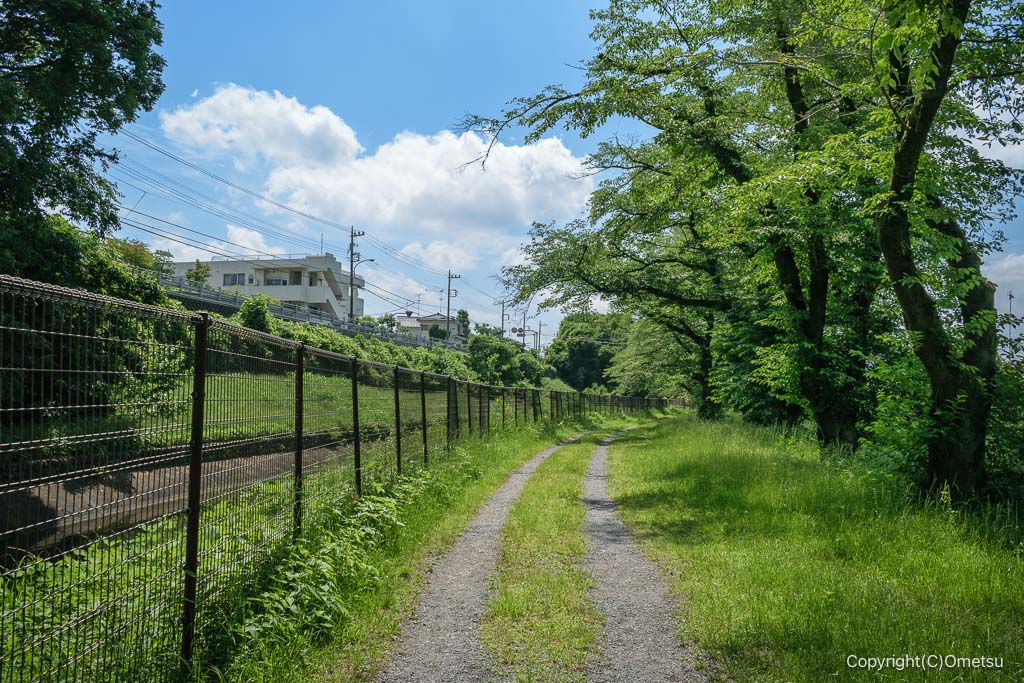 羽村の堰付近の、玉川上水・遊歩道