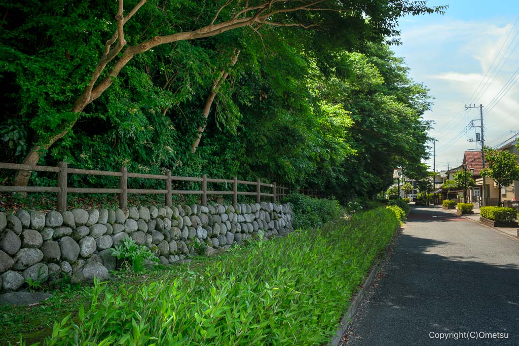 福生市・せせらぎ通り