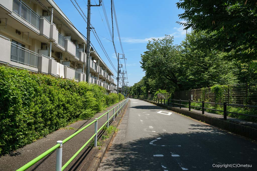 昭島市・玉川上水沿いの道