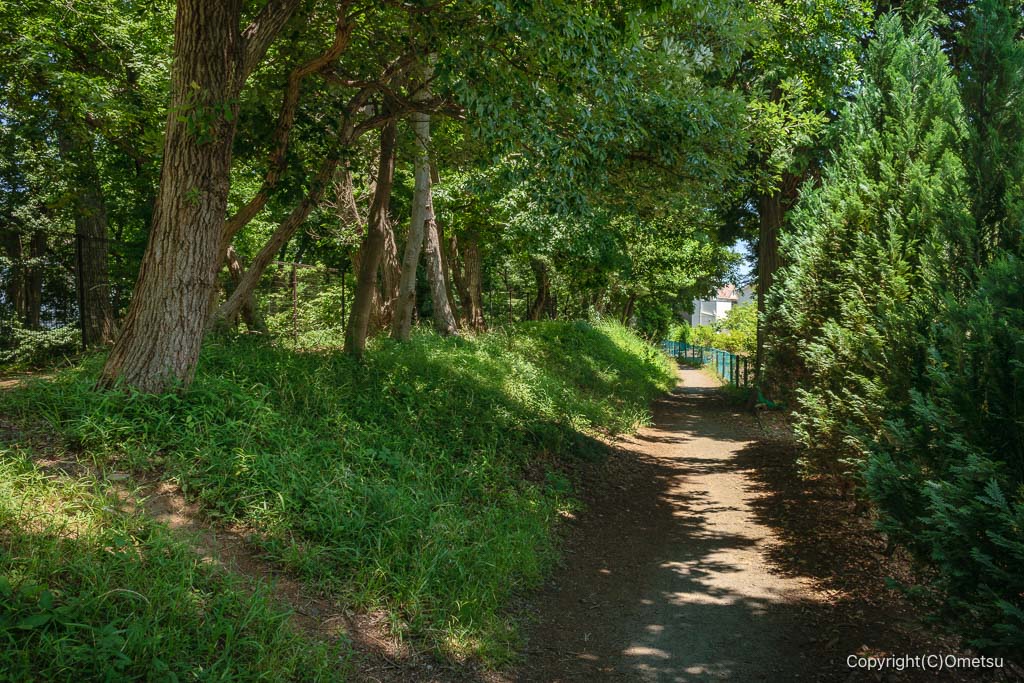 立川・玉川上水歩道