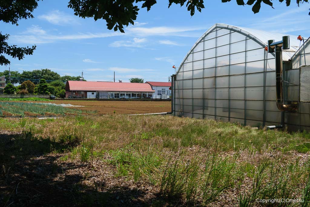 立川・玉川上水近くの畑