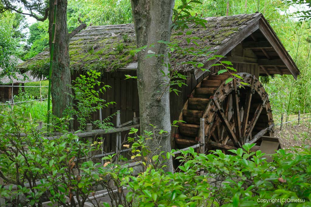 小平ふるさと村の、水車