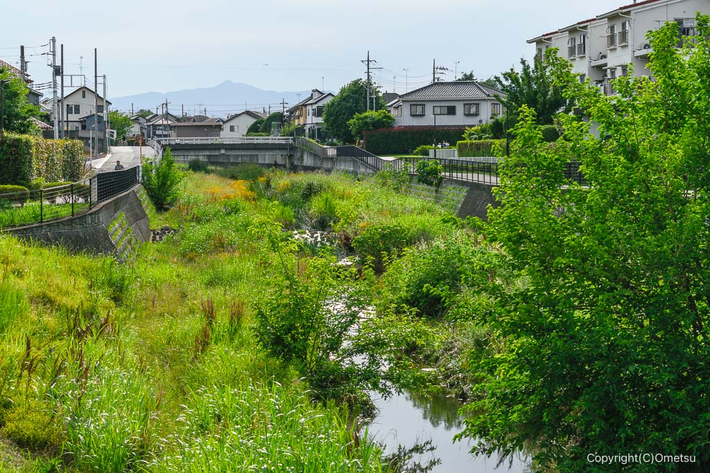 空堀川から、大岳山