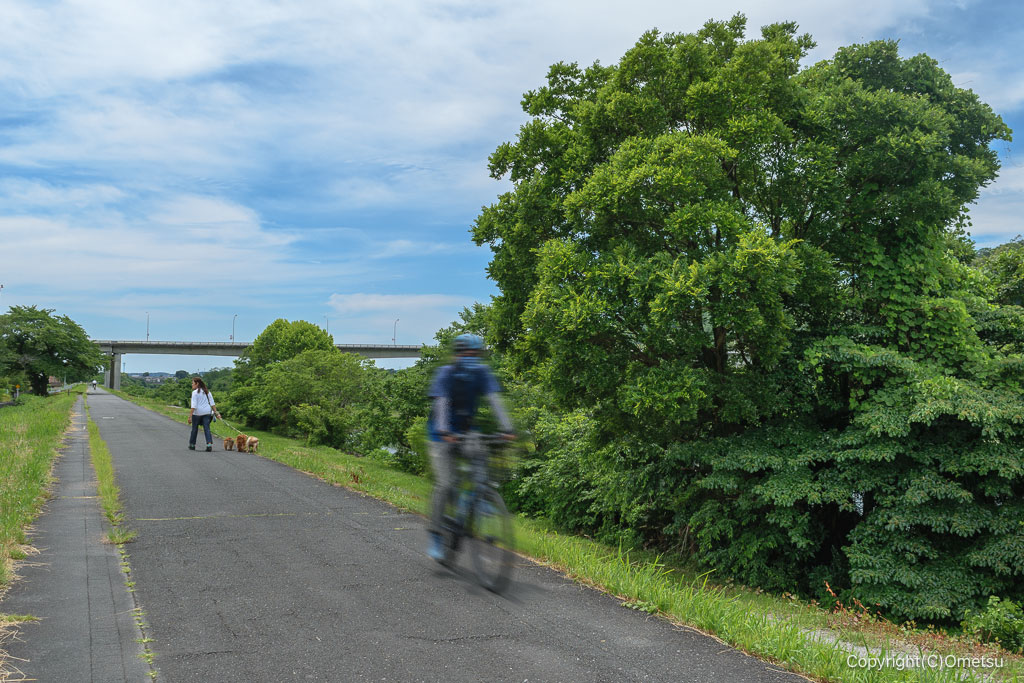 多摩川サイクリングロード