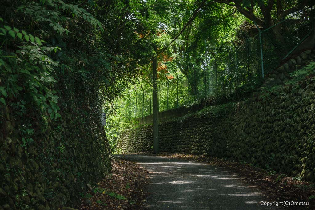 八王子・高月城跡入口付近の道