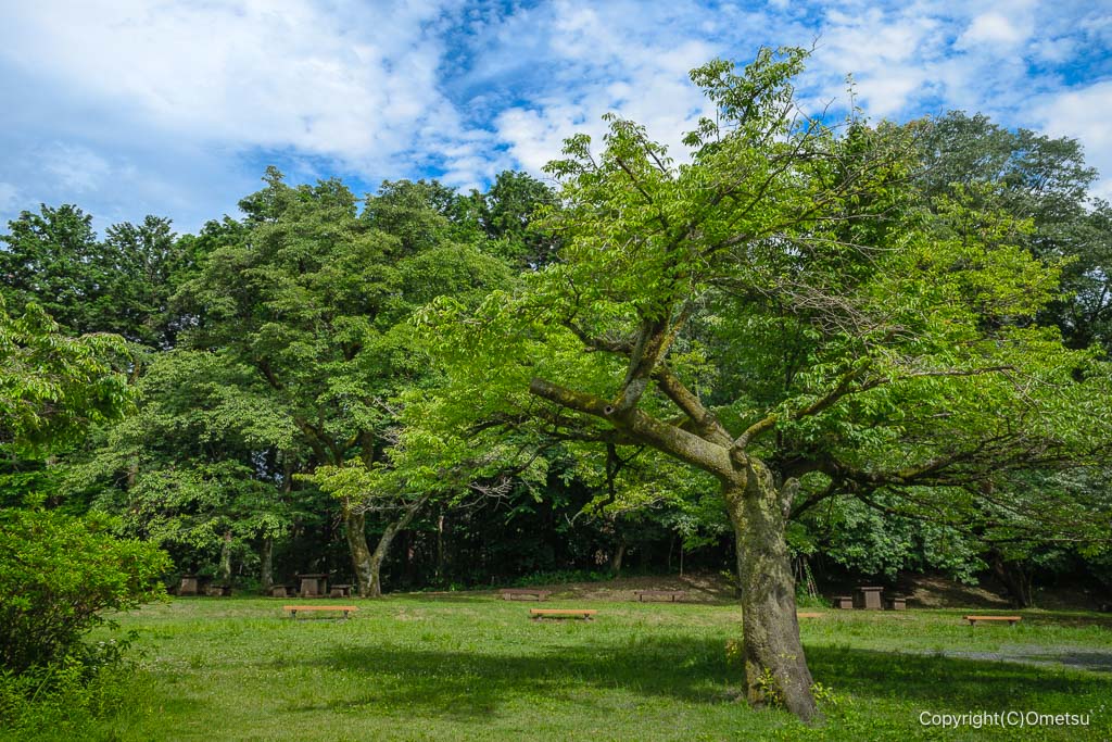 八王子市・滝山城跡・中の丸