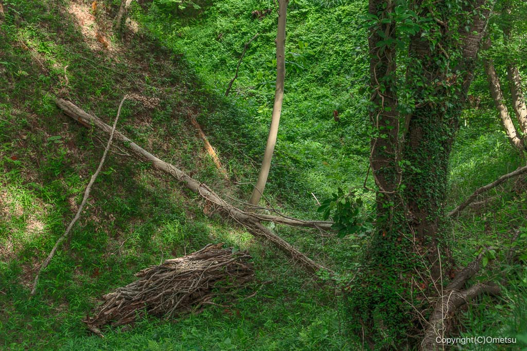 八王子市・滝山城跡の堀割