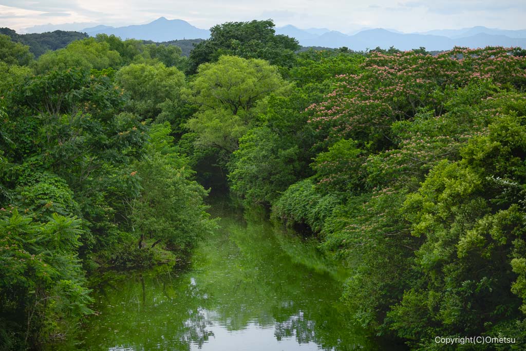 拝島橋から、大岳山