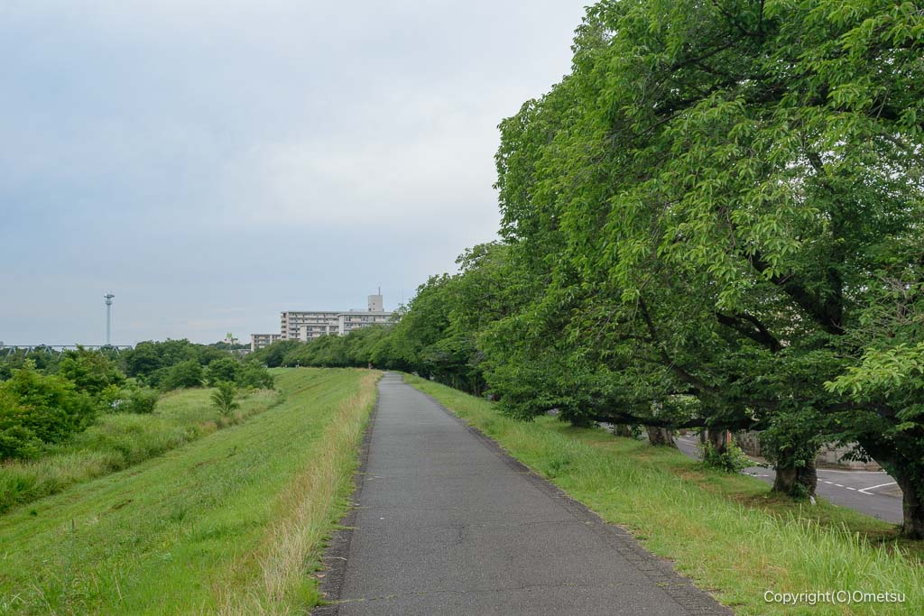 多摩川サイクリングロード