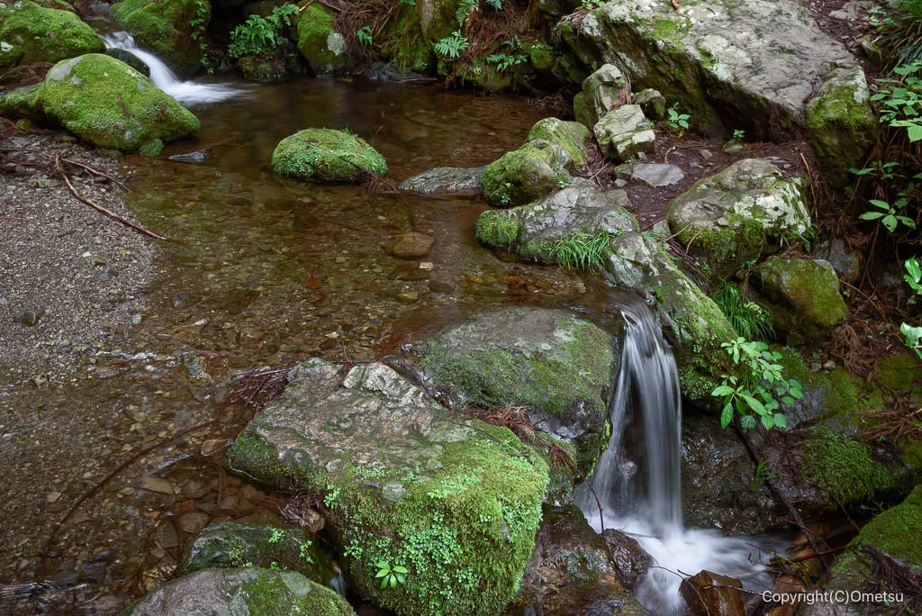 東京都・檜原村、天狗滝登山道の渡渉地点