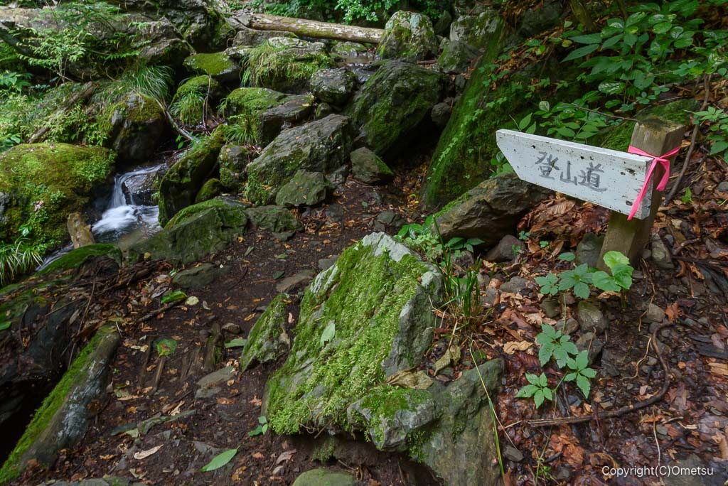 東京都・檜原村、天狗滝・登山道の、渡渉地点
