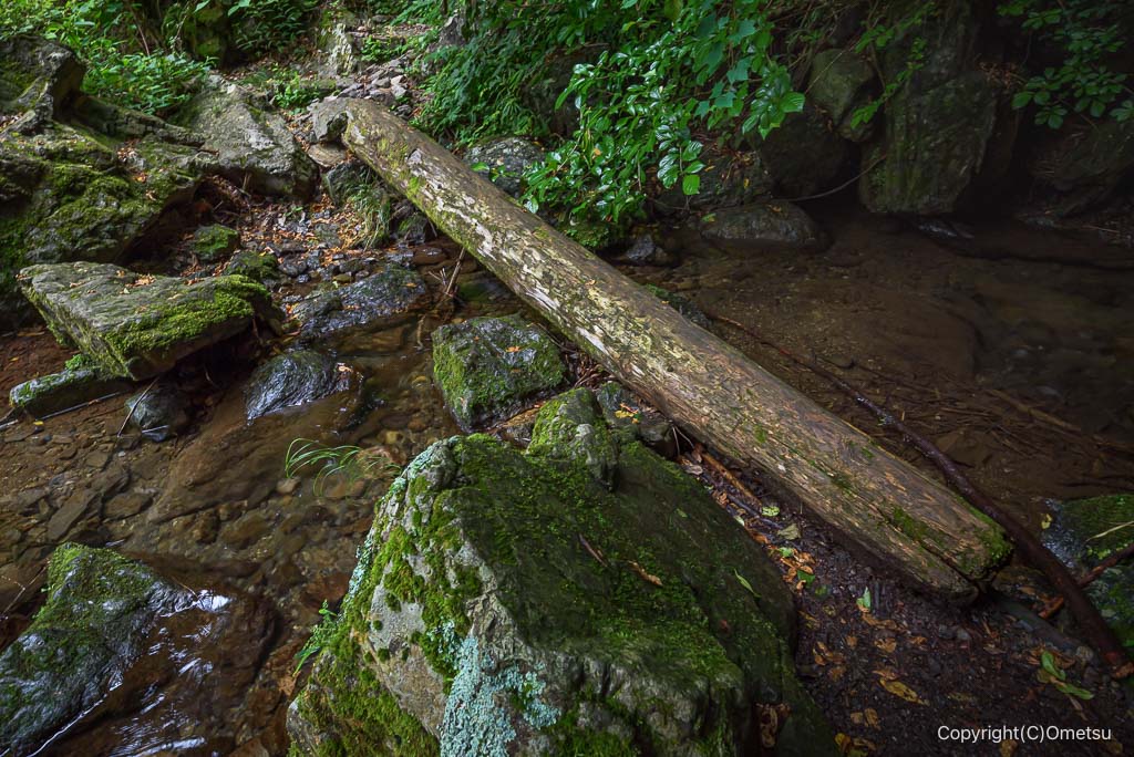 東京都・檜原村、天狗滝・登山道の、丸太橋