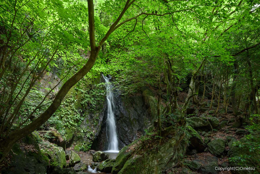 東京都・檜原村、小天狗滝と、森の緑