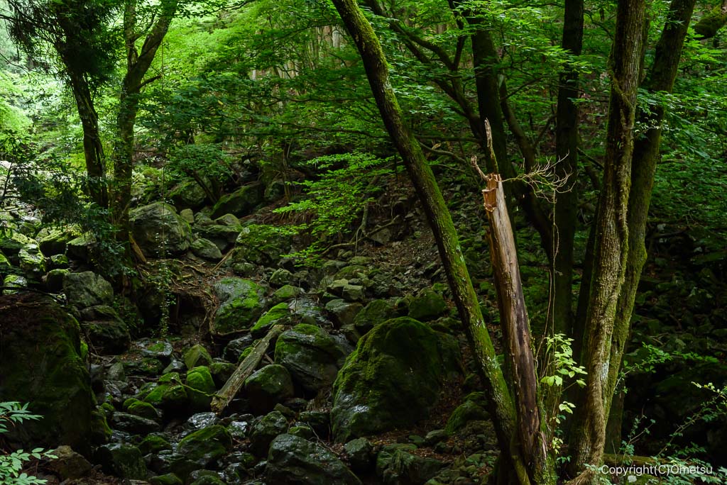 東京都・檜原村、天狗滝・登山道