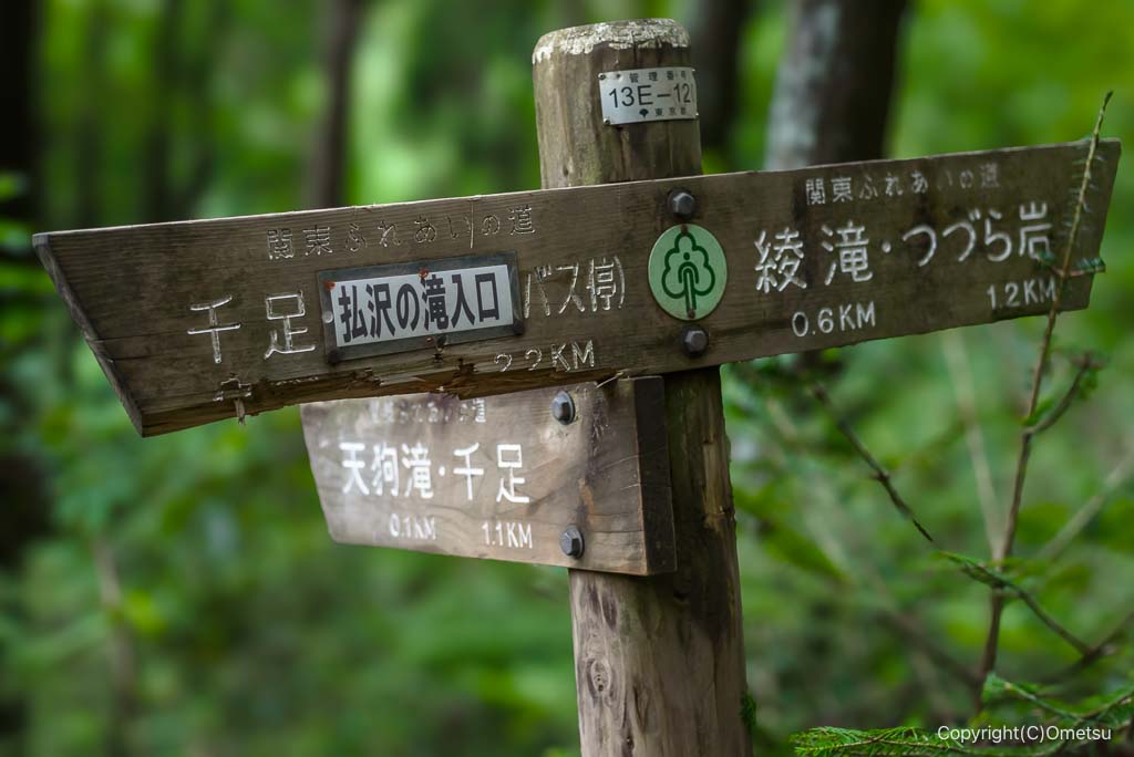 東京都・檜原村、天狗滝登山道・分岐