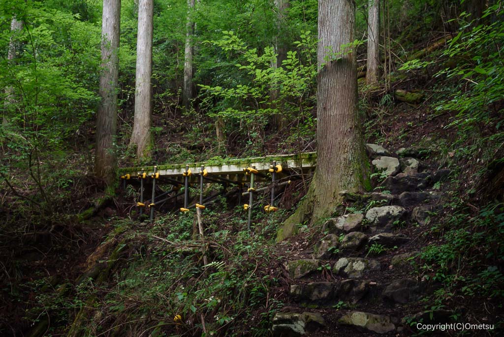 東京都・檜原村、天狗滝登山道の、桟橋