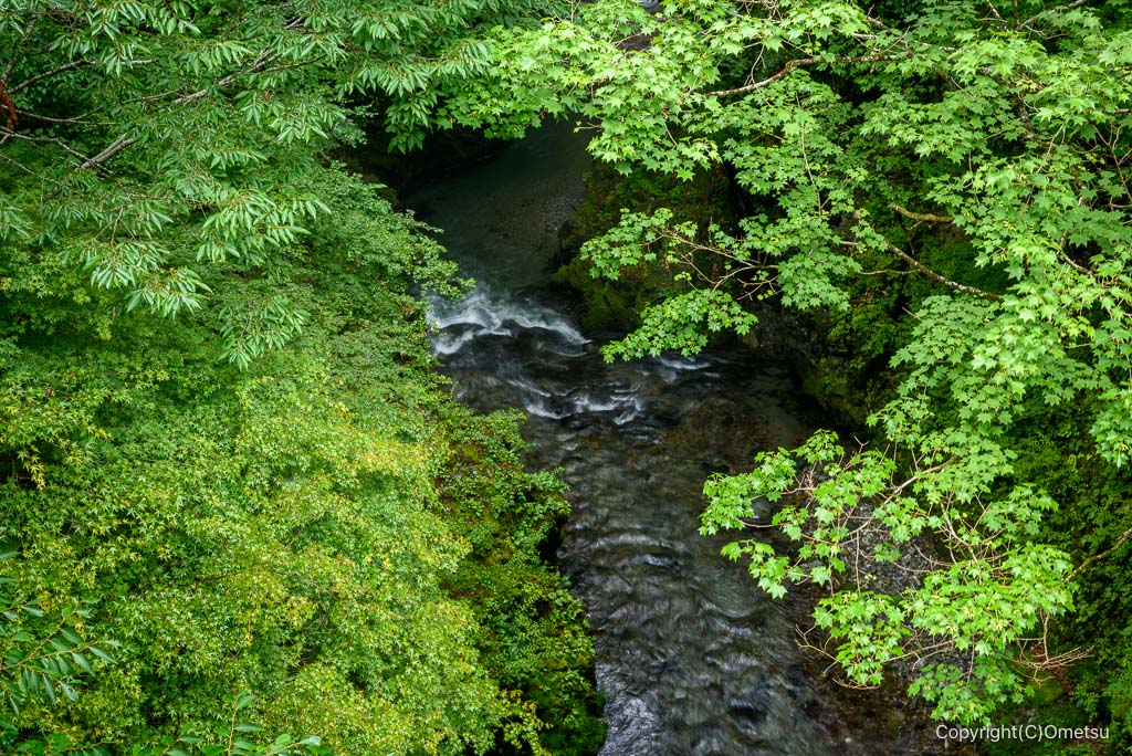 東京都檜原村・橘橋かえあの清流
