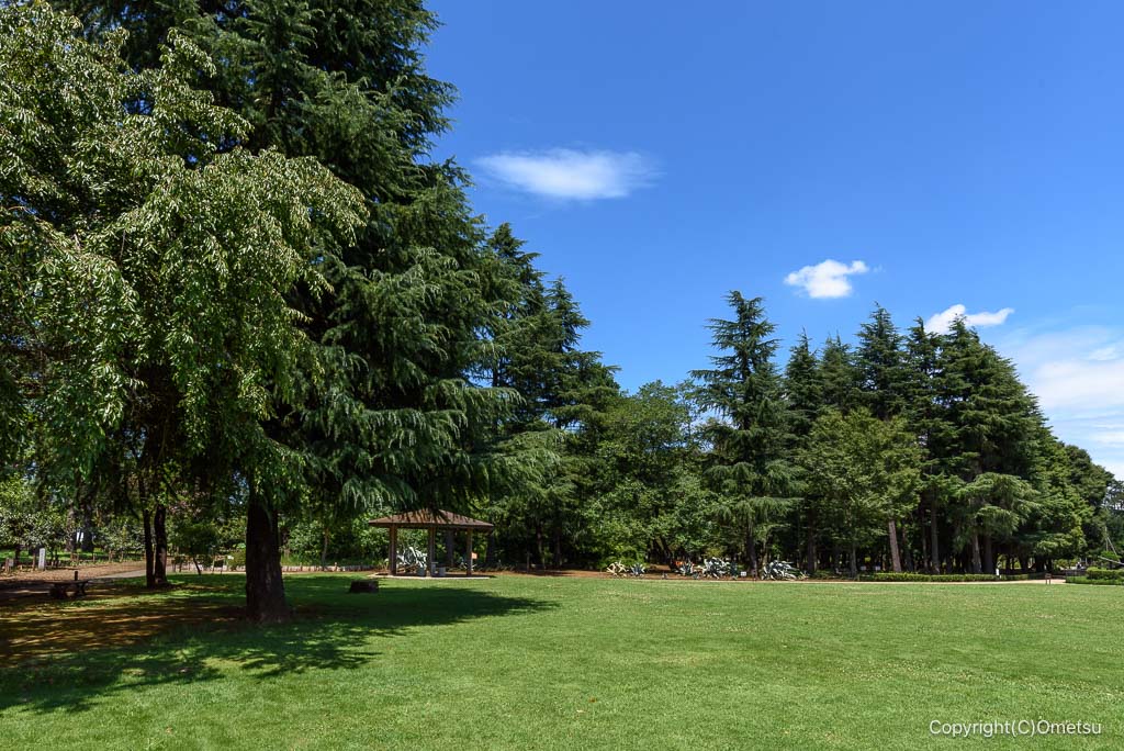 瑞穂町・みずほエコパークの、芝生広場と、東屋
