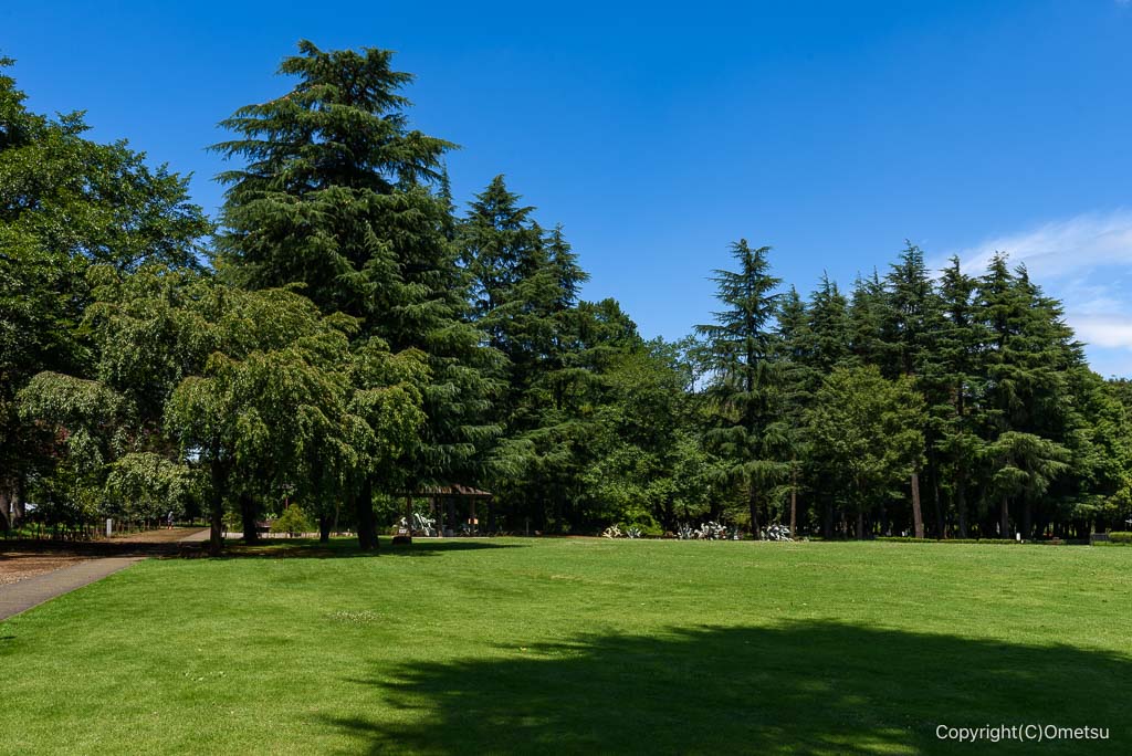 瑞穂町・みずほエコパークの、芝生広場