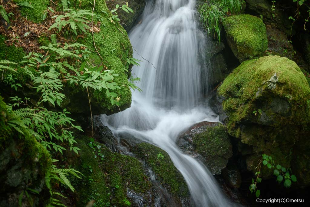 御岳山・ロックガーデンの沢の流れ