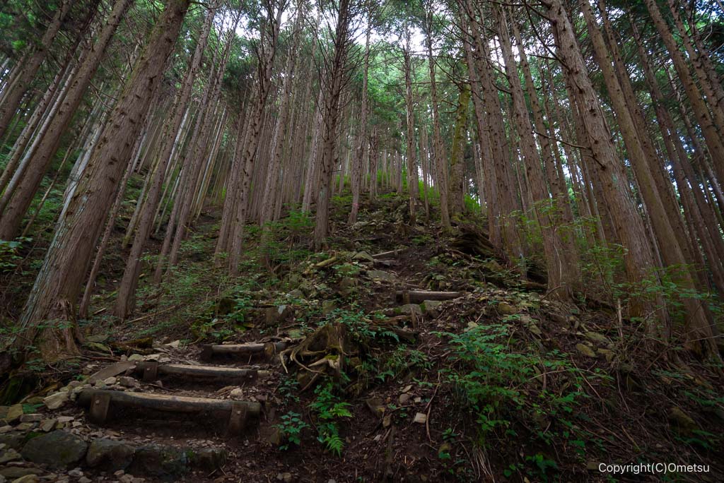 御岳山・七代の滝方面の急登