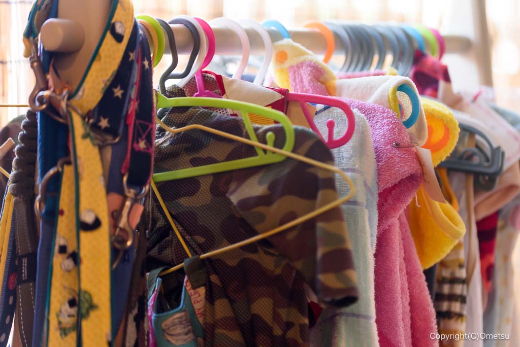 福生「Cafeどす」の、フードウエア