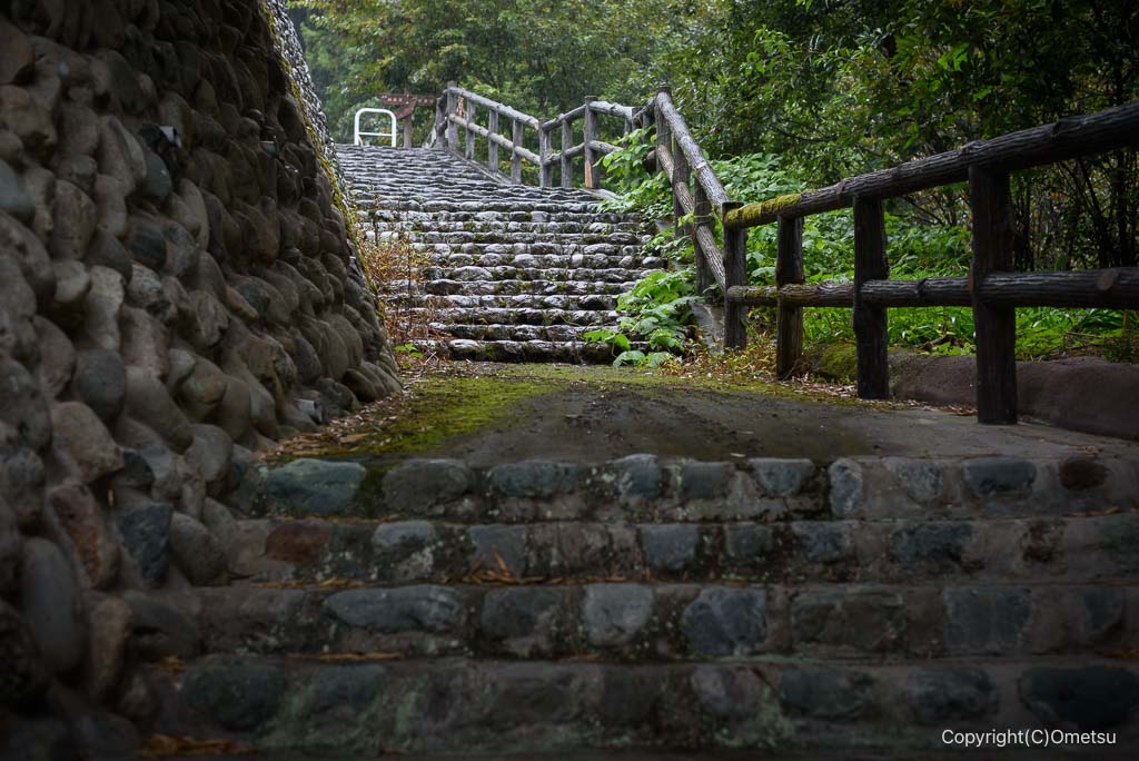 青梅市・青渭神社の参道