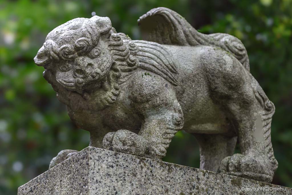 青梅市・青渭神社・里宮の狛犬