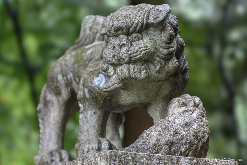 青梅市・青渭神社・里宮の狛犬