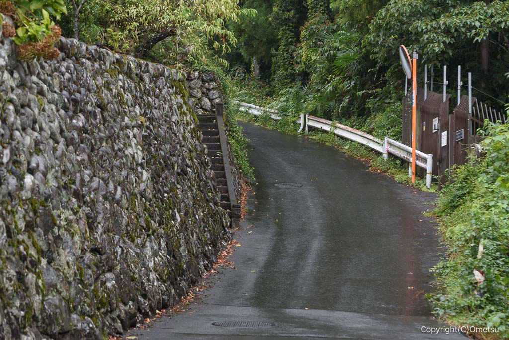 青梅市・青渭神社付近の道