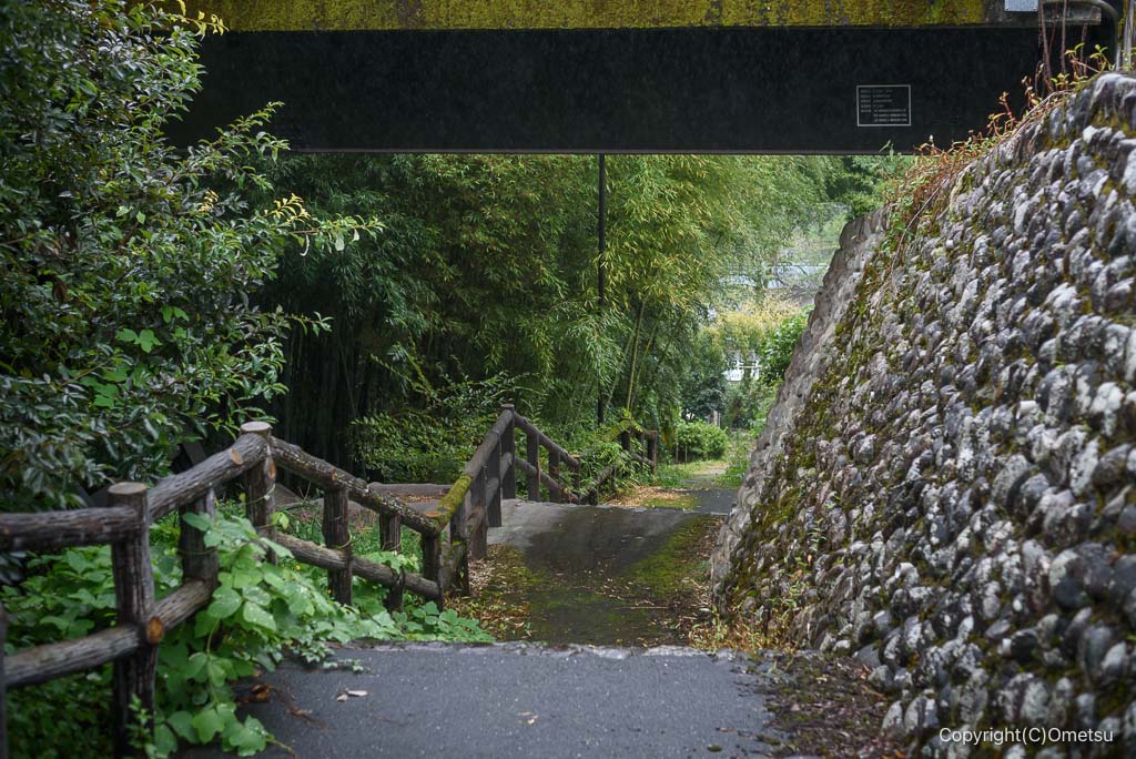 青梅市・青渭神社参道の石段
