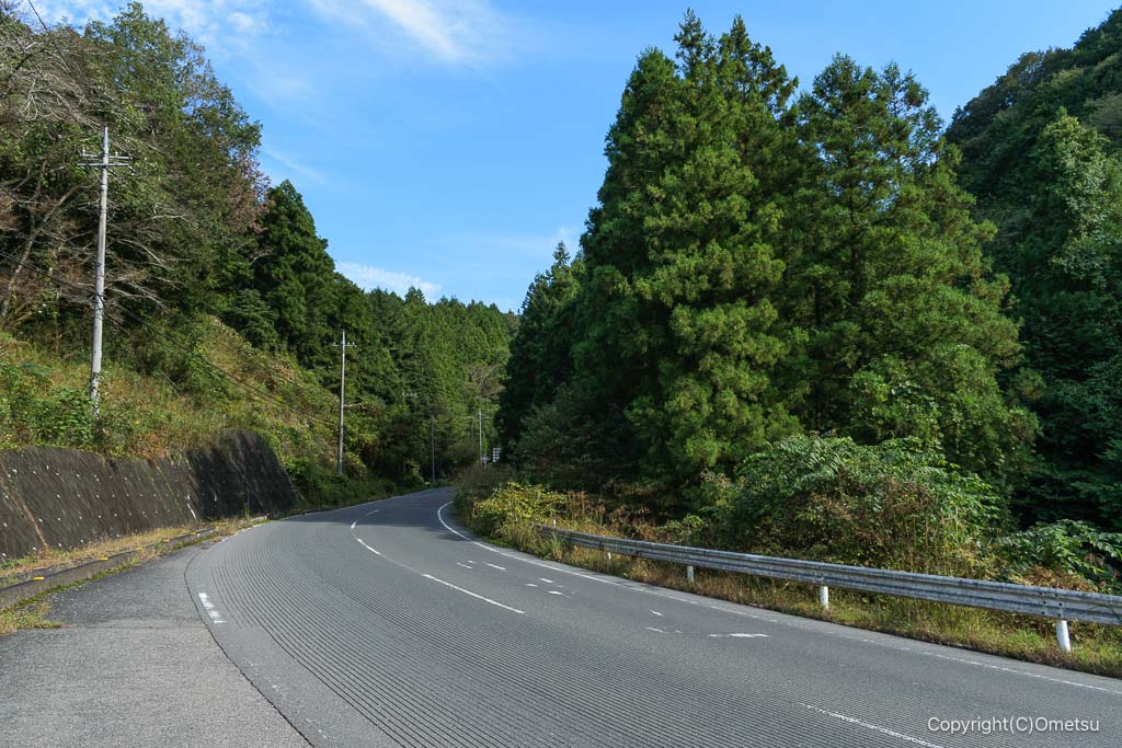 飯能・県道221号、山王峠付近