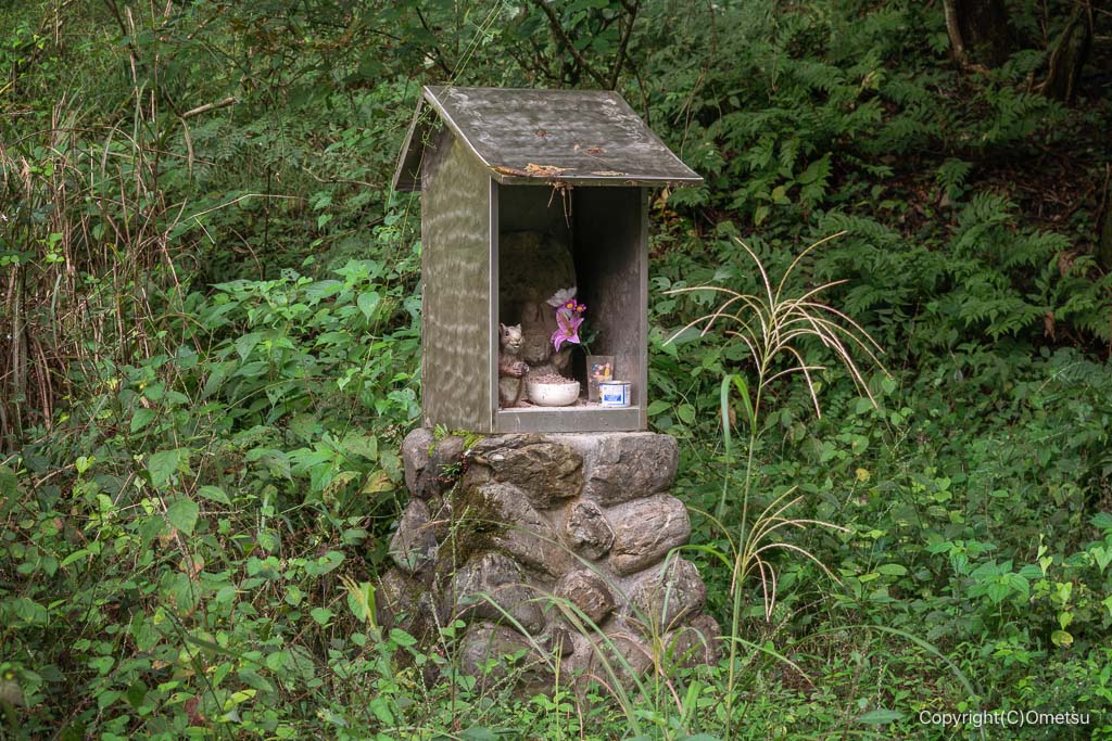 飯能・県道221号、山王峠付近の庚申尊