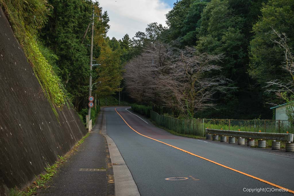 青梅・笹仁田峠付近の道