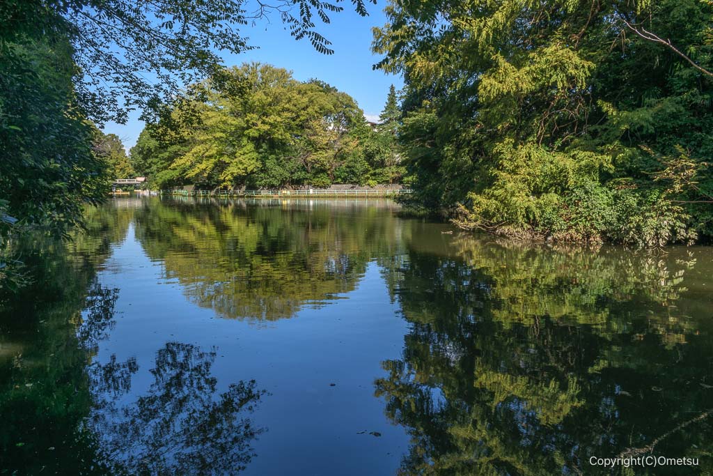 練馬区立・武蔵関公園