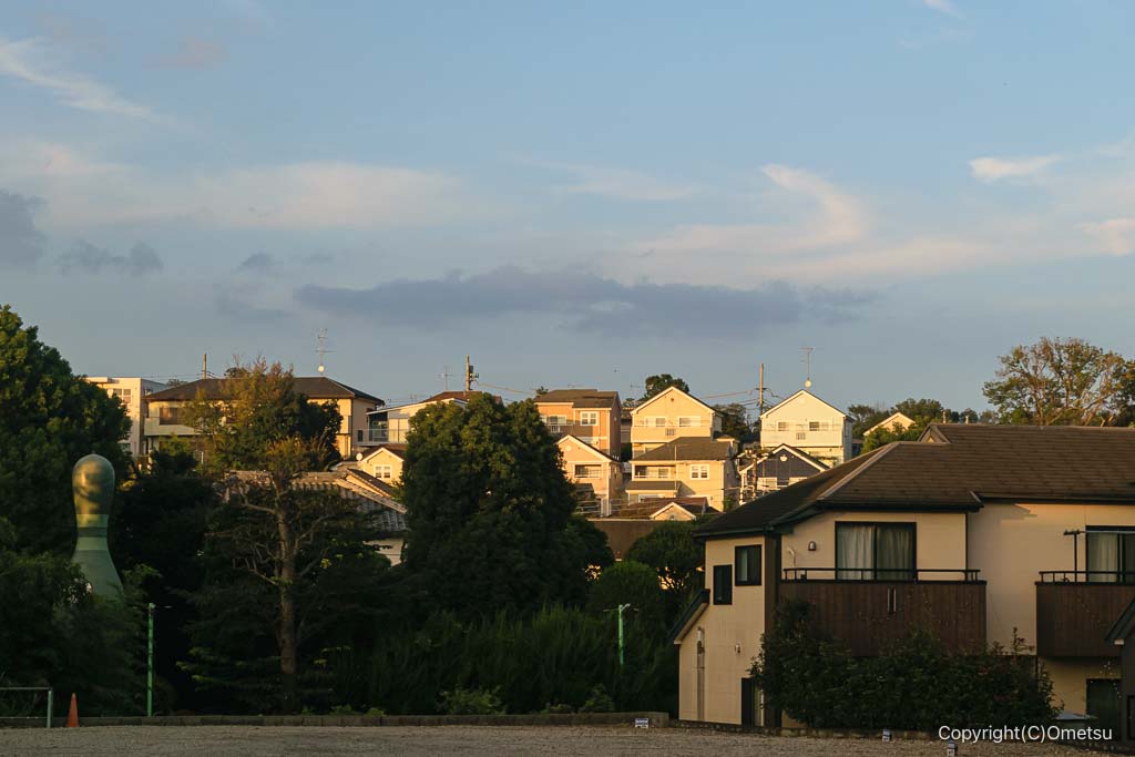 青梅街道・武蔵村山付近の光景