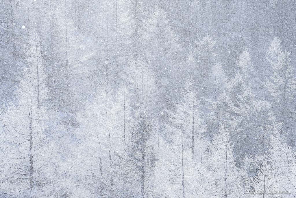 冬の雲取山の、霧氷