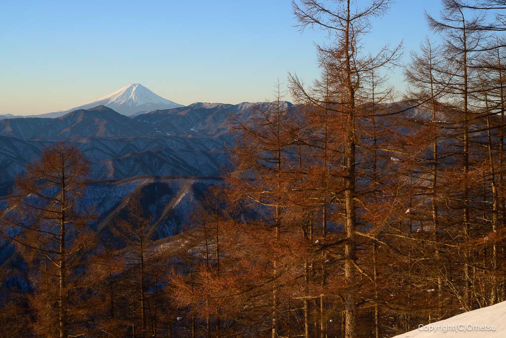 雲取山からの富士山