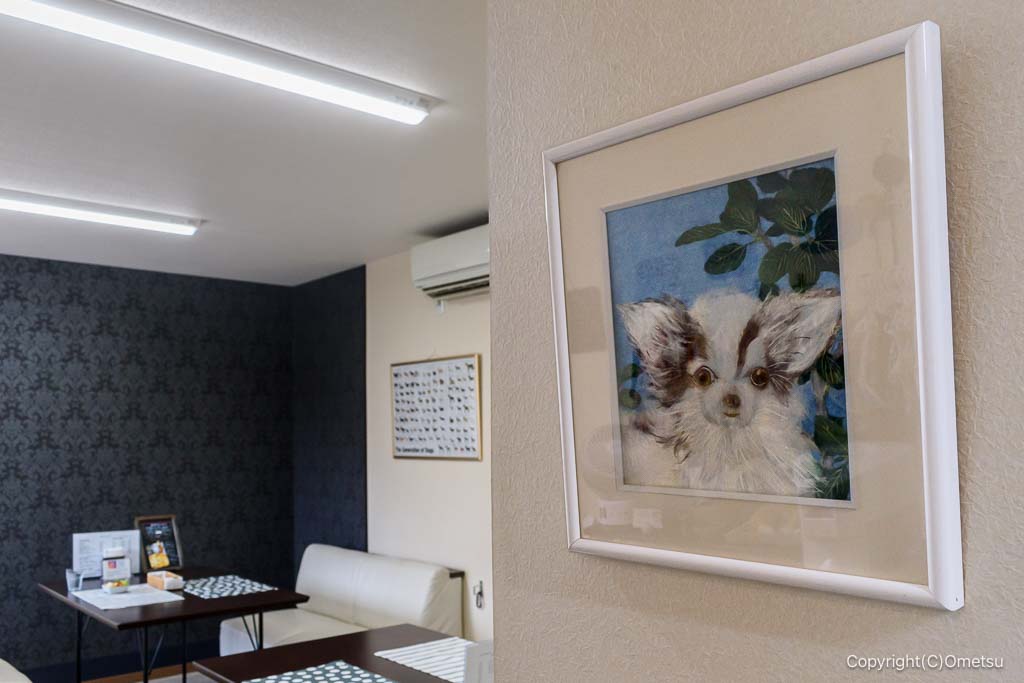 青梅のドッグカフェ・ケイニスの、犬の絵