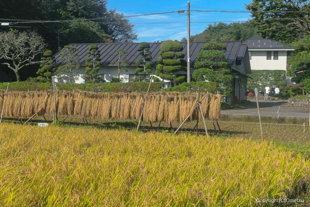 青梅・根ヶ布の田園