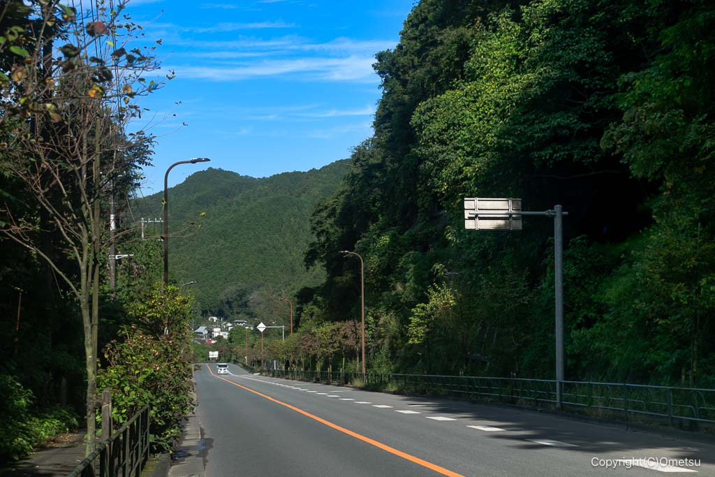 青梅・成木街道