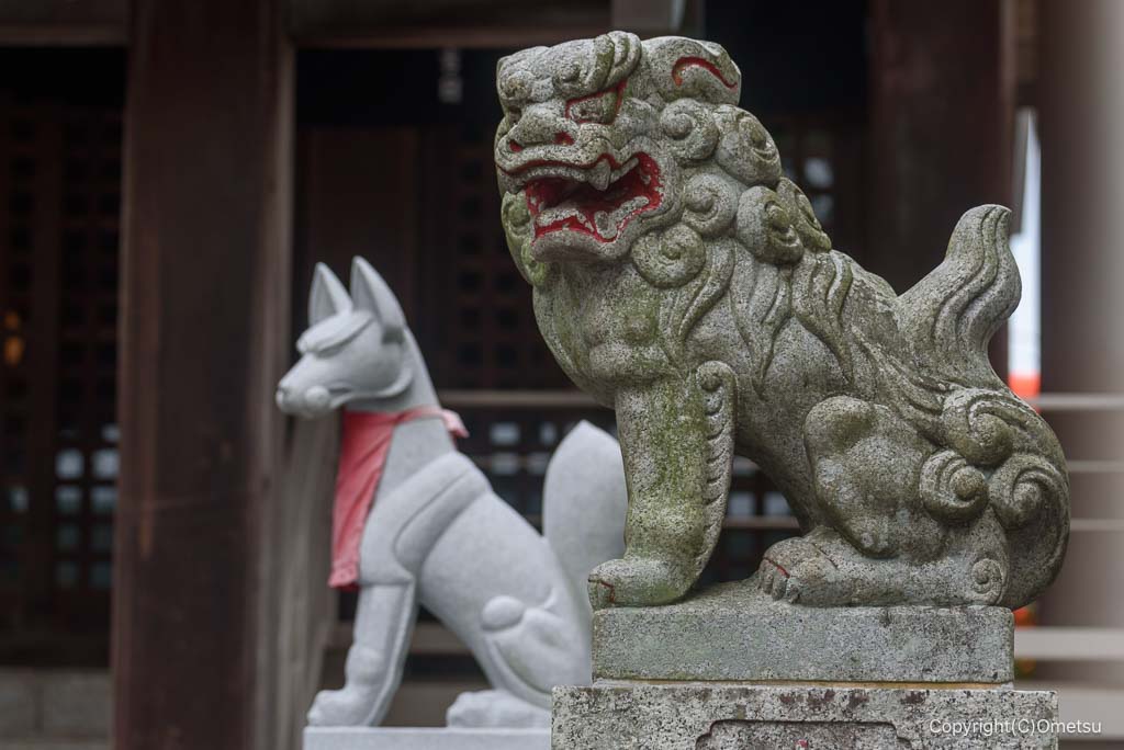 羽村市・羽東稲荷神社の、狛犬とキツネ様