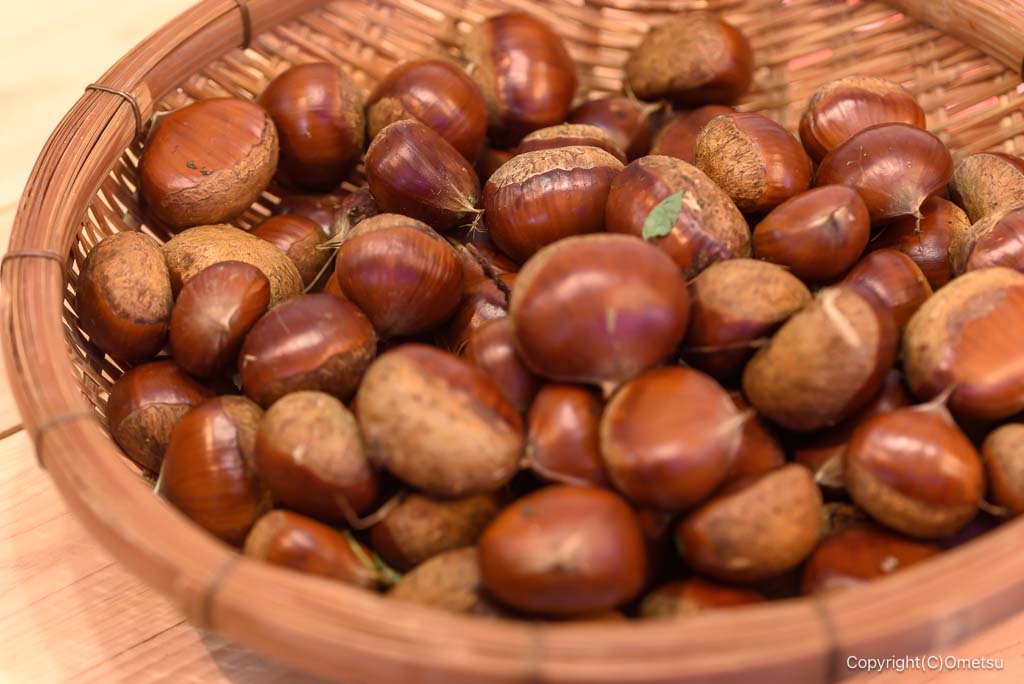 奥多摩AUBAの、栗